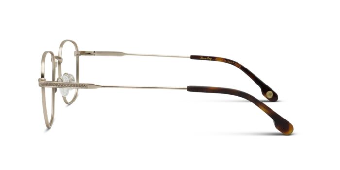 Alternative view of Vinz Roy