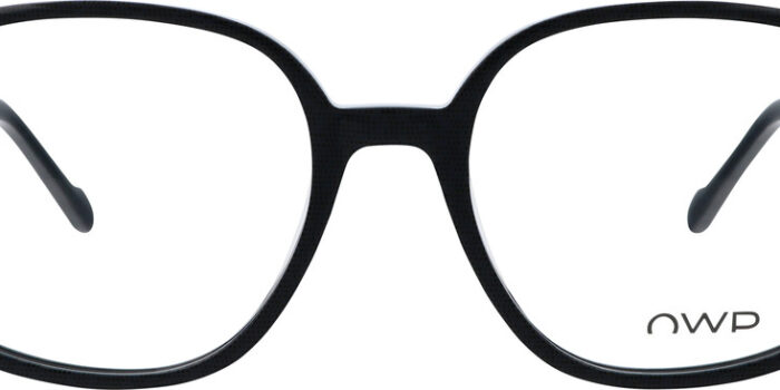 Alternative view of OWP 2232 100
